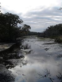 Cumberland Island National Seashore