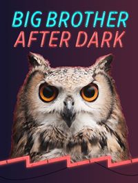 Big Brother After Dark