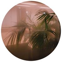 Post-Rock/Post-Metal/Post-Hardcore/Sludge/Instrumental