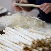 Spargel
