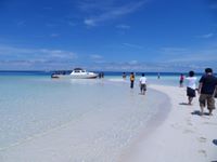 Derawan Islands Info