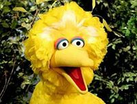Big Bird