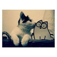 Simon's Cat