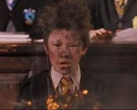 Seamus Finnigan"I Can Bring It Down!" and BOOM Goes the Bridge
