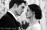 Twilight Saga