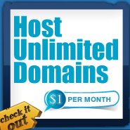 Web Hosting