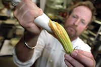 Dinner Impossible With " Chef Robert Irvine " RULES !