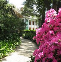 Shadows on the Teche