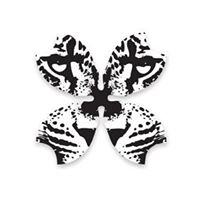 Londolozi Game Reserve