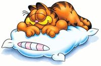 I Hate It When I Get Comfy in Bed and Realize I Forgot to Do Something