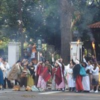 Centro De Guias De Tigre Y Delta Del Paraná