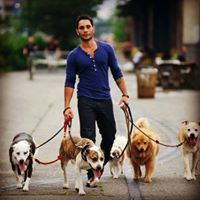 The Language of Dogs