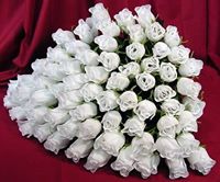 White Roses