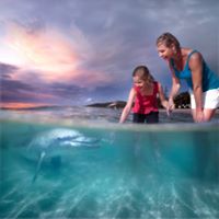 Tangalooma Island Resort