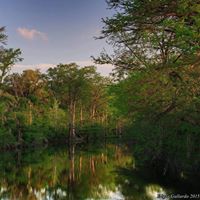 McKinney Falls State Park - Texas Parks and Wildlife