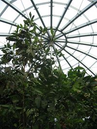 Sunderland Museum & Winter Gardens