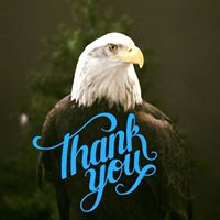 American Bald Eagle Foundation