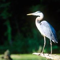 Potato Creek State Park