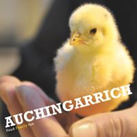 Auchingarrich Wildlife Centre