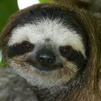 Sloth Sanctuary - Costa Rica