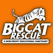 Big Cat Rescue
