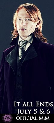 Bill Weasley (Mim)