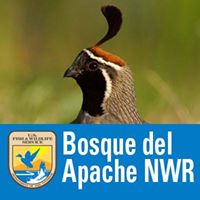 Bosque Del Apache National Wildlife Refuge