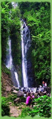 Puncak-Bogor : Wisata & Bisnis