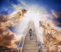 Macho Man Randy Savage