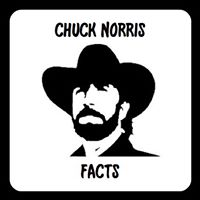 Chuck Norris Facts