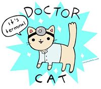 Doctor Cat