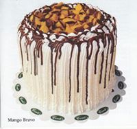 Mango Bravo of Contis