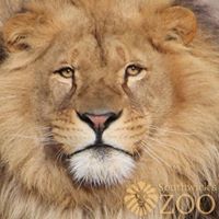 Southwick's Zoo, More Than a Zoo