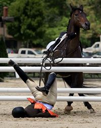 Falling off a Horse Is Just Dismounting With Style