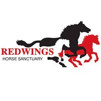 Redwings Horse Sanctuary