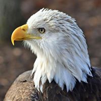 World Bird Sanctuary