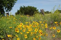 Oklahoma State Parks