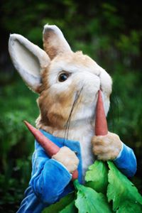 World of Beatrix Potter