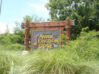 Disney's Animal Kingdom Lodge
