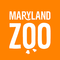 The Maryland Zoo in Baltimore
