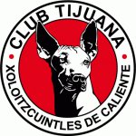 Xoloitzcuintles
