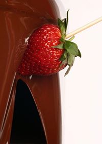 Chocoberries Chocolate Fountain