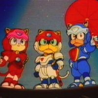 The Samurai Pizza Cats
