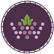 Oregon Wine Country Travel