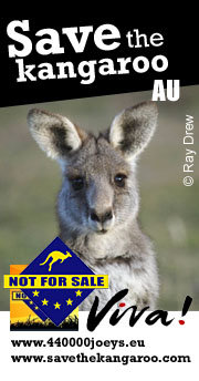 Save the Kangaroo AU