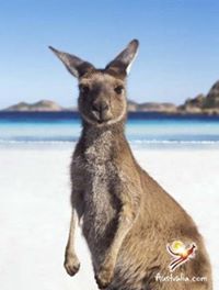 Australia 澳洲盡是不同 (Tourism Australia)