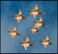 Dogs Die in Hot Cars