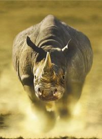 Chitwan National Park, Nepal