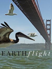 Earthflight