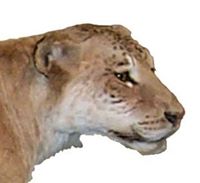 Bean Life Science Museum